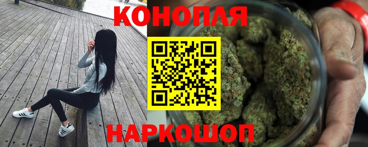 Бошки Шишки планчик Ковров